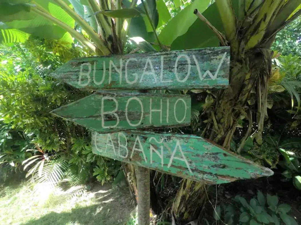 Dream Glamping Jungle Bohio Hotel Las Terrenas Luxury tent