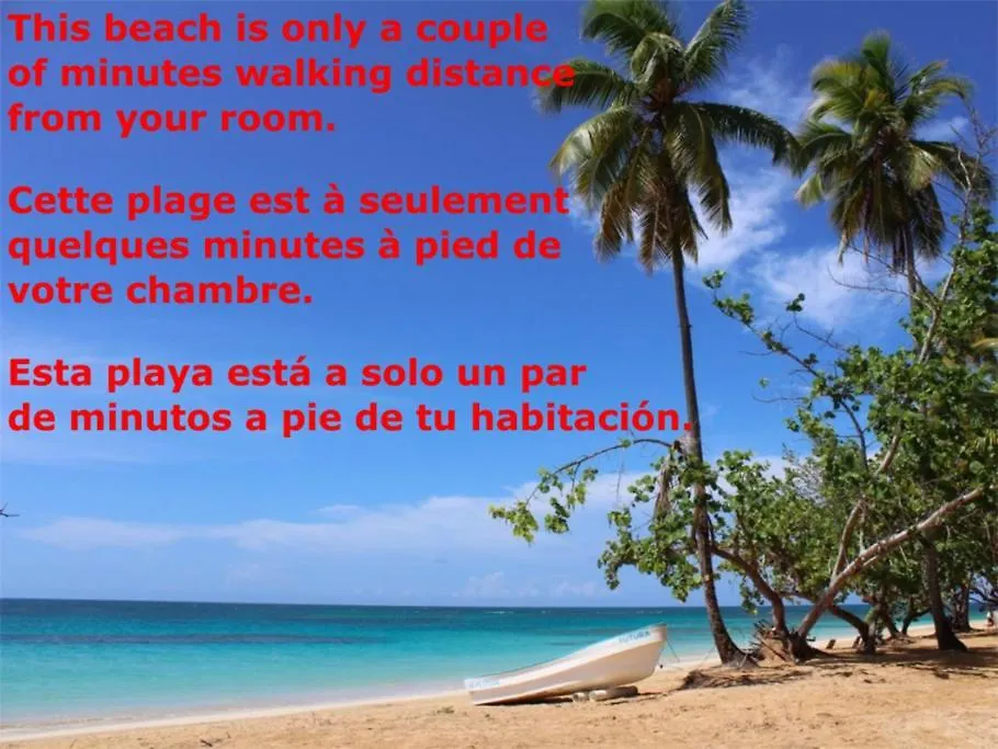 Luxury tent Dream Glamping Jungle Bohio Hotel Las Terrenas