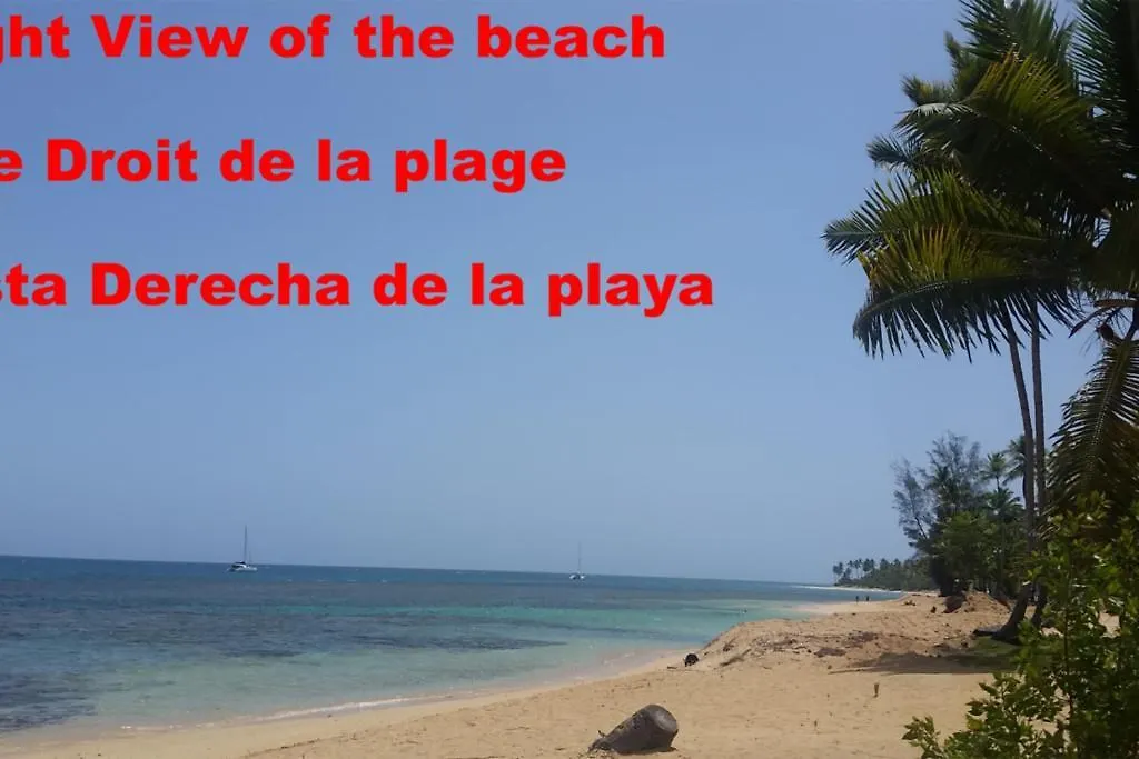 Dream Glamping Jungle Bohio Hotel Las Terrenas