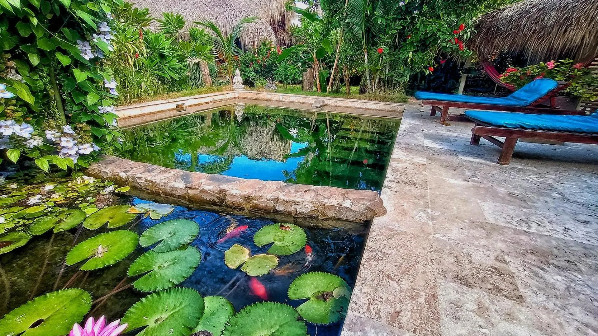 Luxury tent Dream Glamping Jungle Bohio Hotel Las Terrenas
