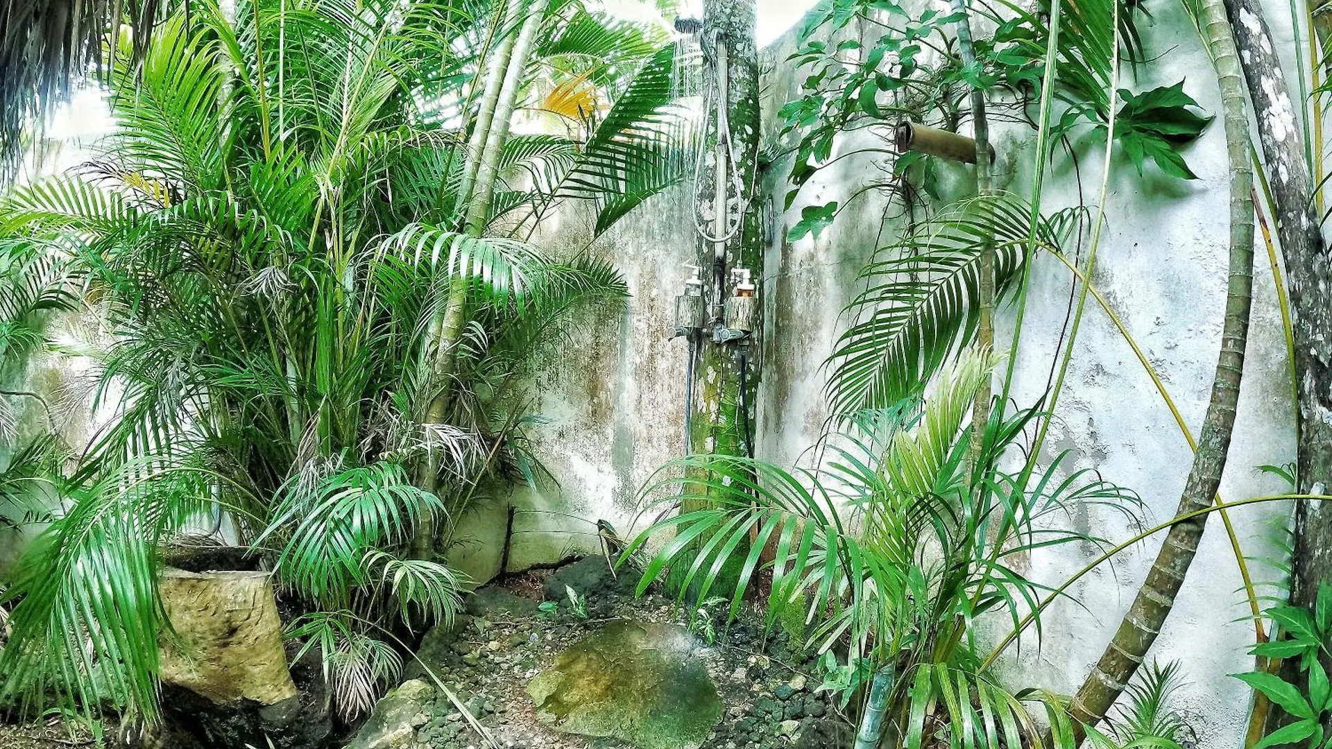 Dream Glamping Jungle Bohio Hotel Las Terrenas 0*,